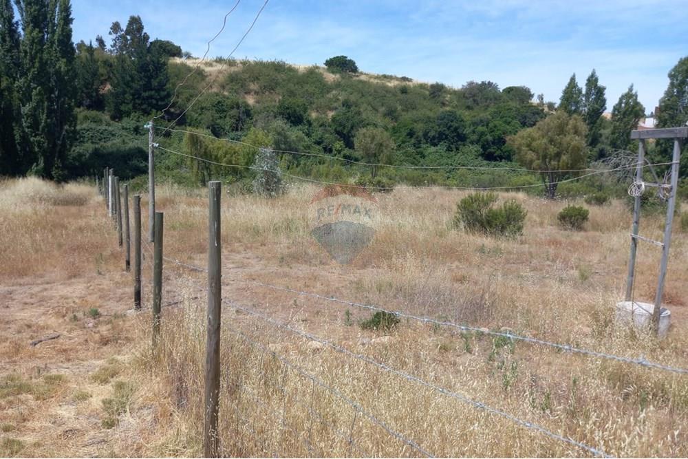 Residential - Ledig land - Litueche, Cardenal Caro, Libertador Gral. Bernardo O'Higgins - CL - Imagen de WhatsApp 2025-01-02 a las 15.22.13_d8e9d592.jpg - 1028103011-35