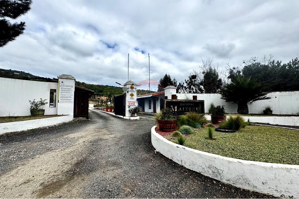 Rezidenčná - Pozemok - Casablanca, Valparaíso, Valparaíso - CL - IMG_8030.jpg - 1028037167-1425