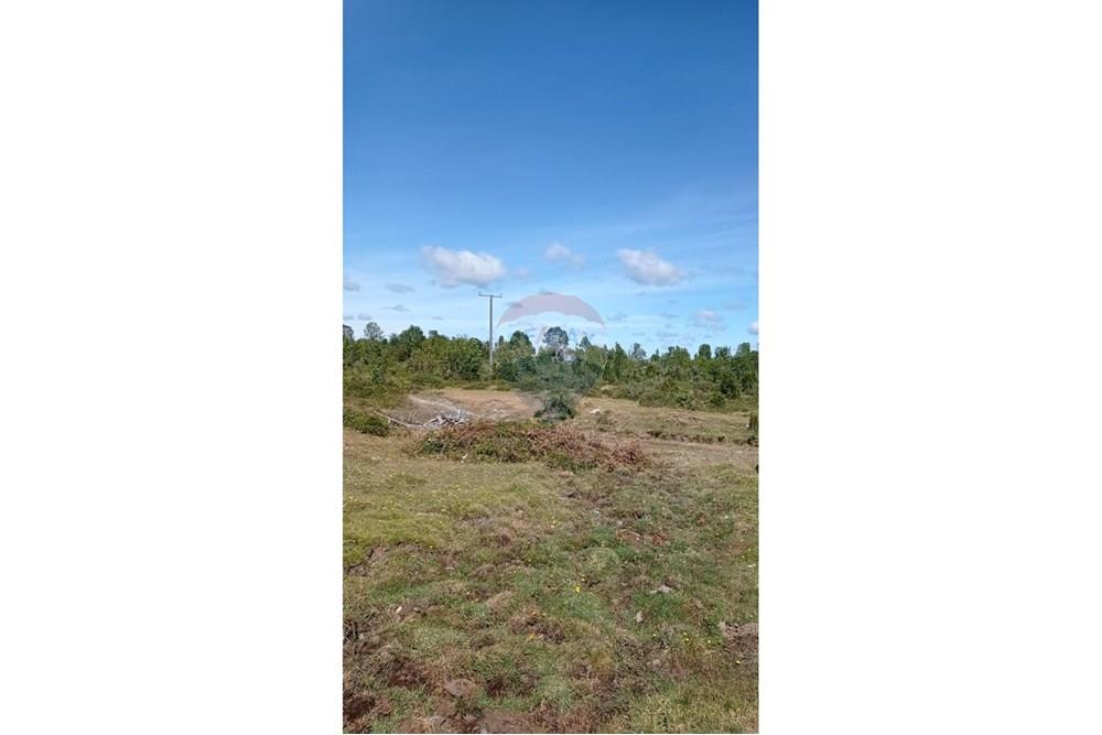 Woningbouw - Grond voor toek. bouw ontwikkeleing - Calbuco, Llanquihue, Los Lagos - CL - WhatsApp Image 2025-06-09 at 11.57.14 AM (4).jpeg - 1028109099-64