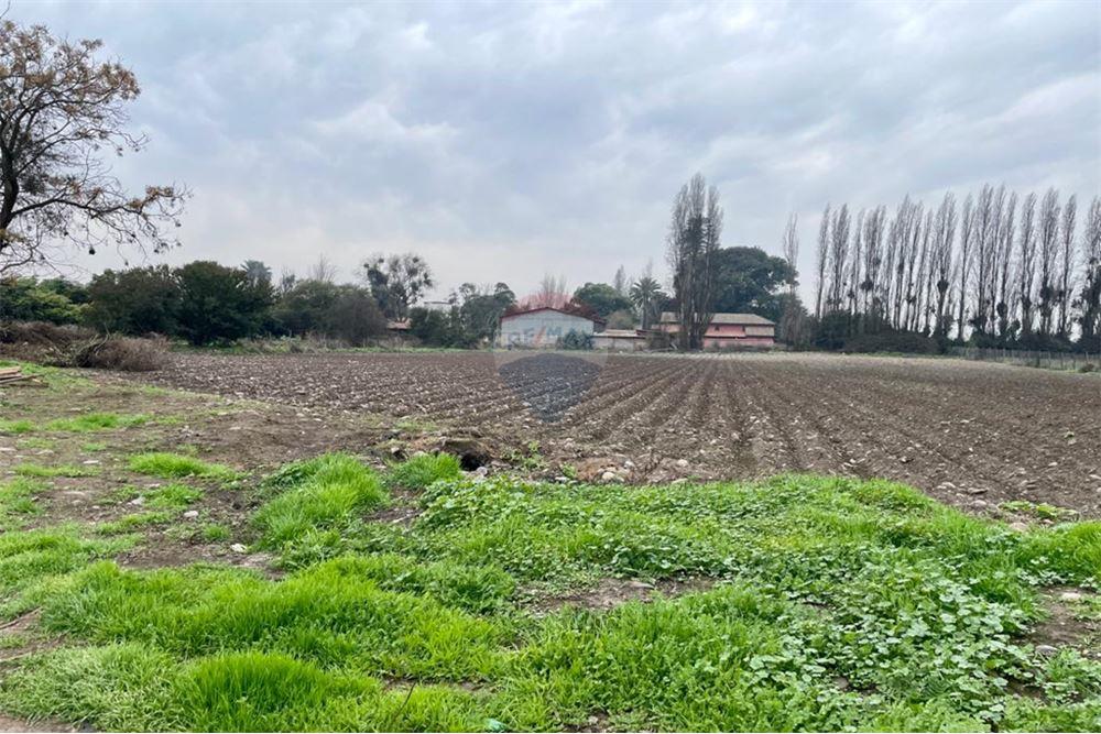 Residential - คฤหาสน์ชนบท - Talagante, Talagante, Metropolitana De Santiago - CL - 14 - 1028091010-162