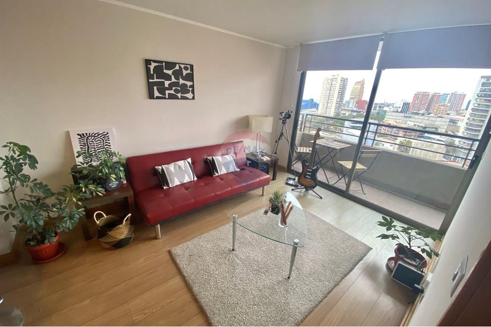 lakó - lakás (tégla) - Antofagasta, Antofagasta, Antofagasta - CL - IMG_9859.jpg - 1028004013-356