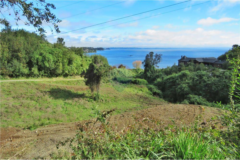 Residential - ที่ดินสำหรับอยู่อาศัย - Puerto Varas, Llanquihue, Los Lagos - CL - 1 - 1028076051-391