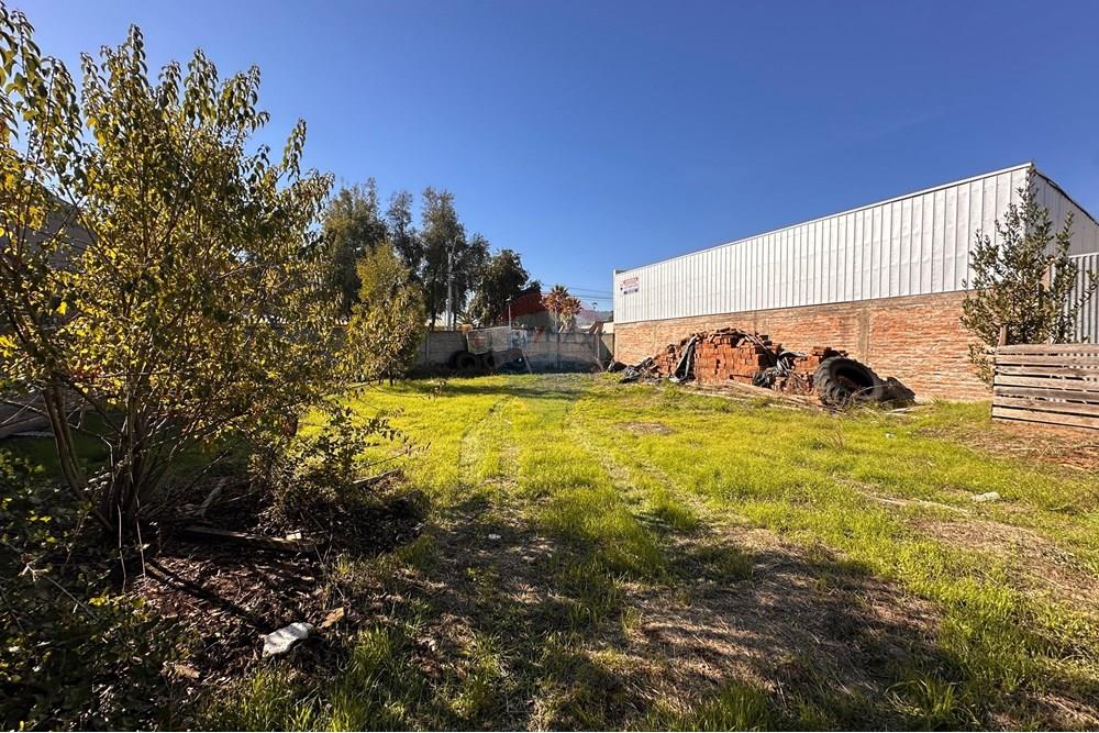 Affärsfastighet - Lager med flera hyresgäster - Hualañé, Curicó, Maule - CL - IMG_9692.JPG - 1028098034-21