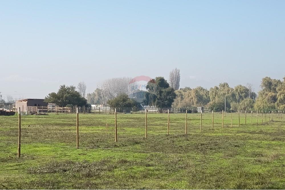 Residential - Herregård - Lampa, Chacabuco, Metropolitana De Santiago - CL - IMG_20250605_122312.jpg - 1028096092-4