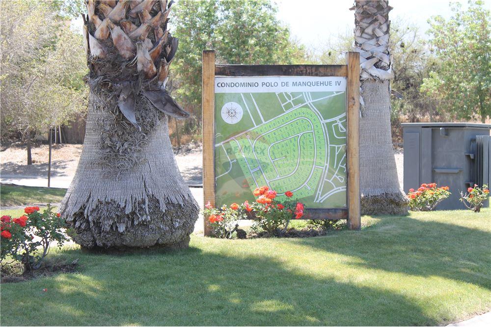 Konut - Arazi - Colina, Chacabuco, Metropolitana De Santiago - CL - 7 - 1028018148-405