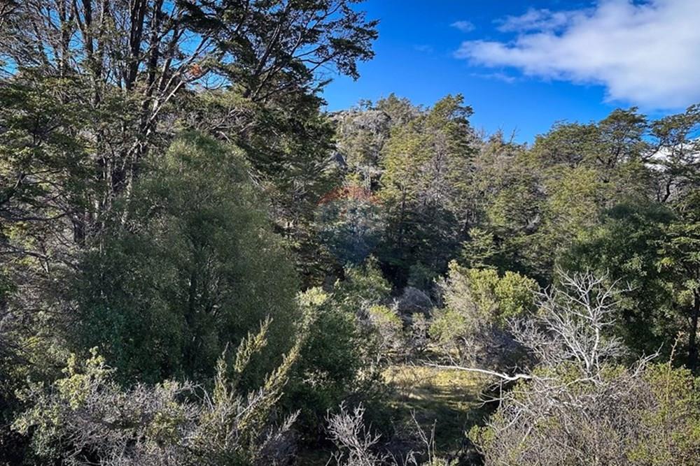 Gyvenamasis - Žemės sklypas - Chile Chico, General Carrera, Aisén - CL - IMG_2766.jpg - 1028085049-21