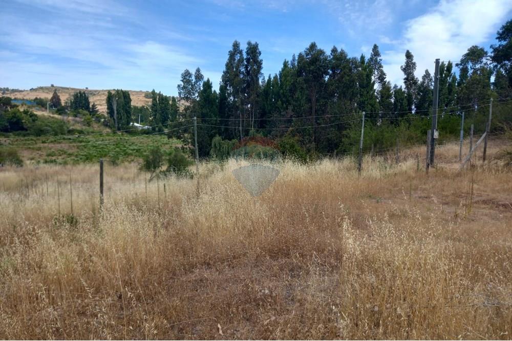 Residential - Ledig land - Litueche, Cardenal Caro, Libertador Gral. Bernardo O'Higgins - CL - Imagen de WhatsApp 2025-01-02 a las 15.22.15_952638e2.jpg - 1028103011-35