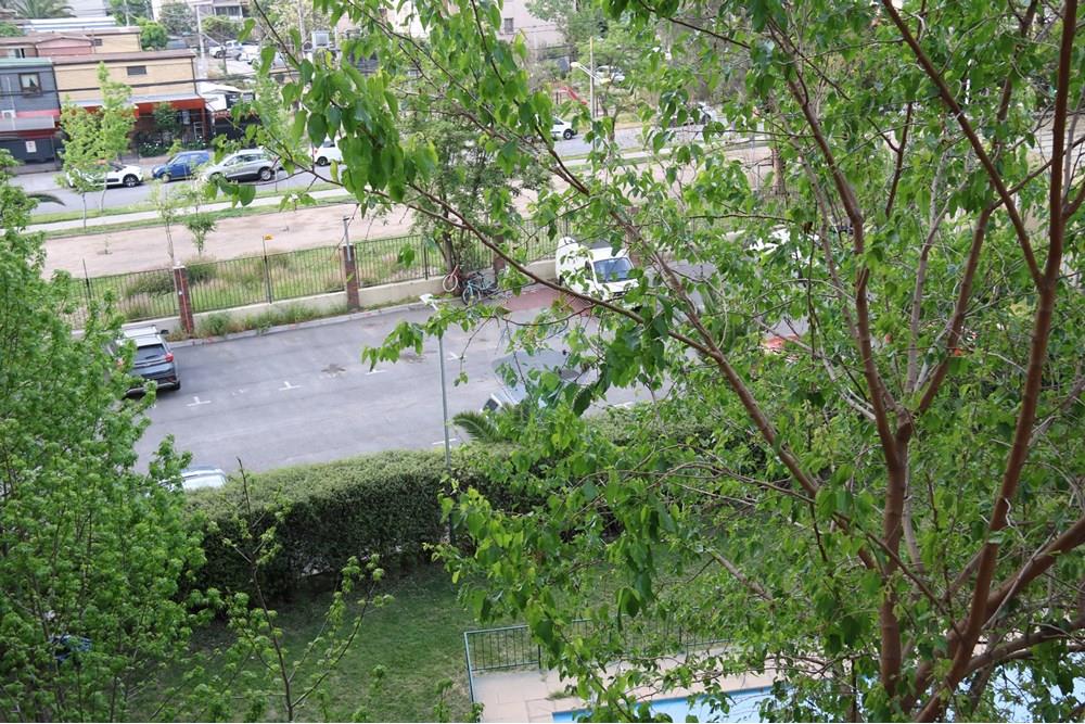 Departamento - Venta - Estación Central, Santiago, Metropolitana De Santiago - IMG_4252.JPG - 1028109076-7