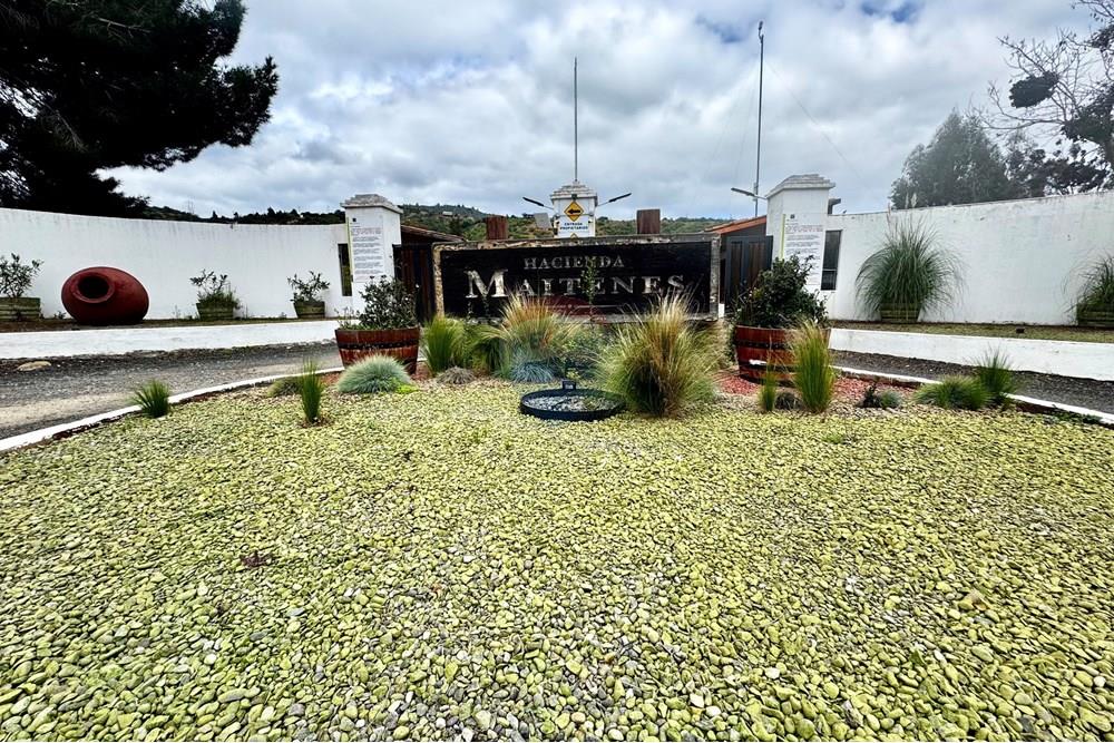 Rezidenčná - Pozemok - Casablanca, Valparaíso, Valparaíso - CL - IMG_8028.jpg - 1028037167-1425