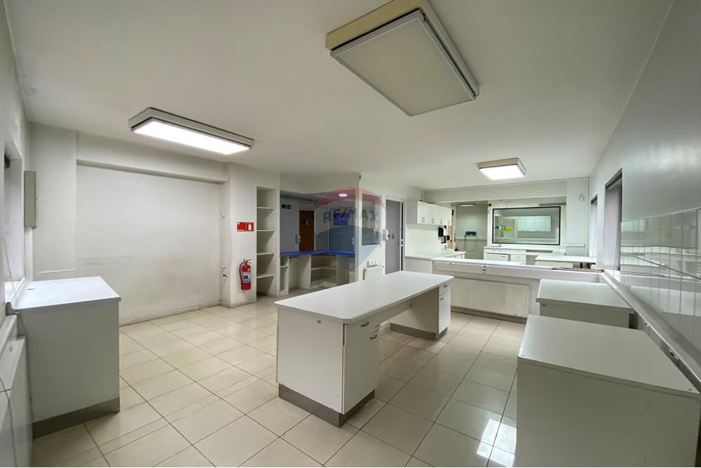 Oficina - Venta - Providencia, Santiago, Metropolitana De Santiago - IMG_0805 2.JPG - 1028101033-16