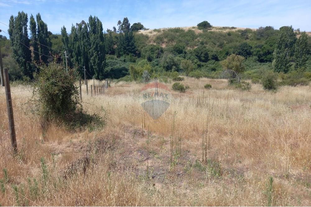 Residential - Ledig land - Litueche, Cardenal Caro, Libertador Gral. Bernardo O'Higgins - CL - Imagen de WhatsApp 2025-01-02 a las 15.22.12_e7b8fea7.jpg - 1028103011-35