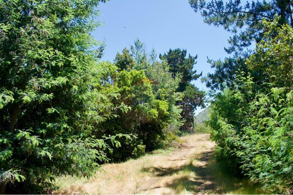 Residential - Plot of Land for Hospitality Development - Valparaíso, Valparaíso, Valparaíso - CL - 19. Parcelas Turbinas - DSC_0162.jpeg - 1028076010-499