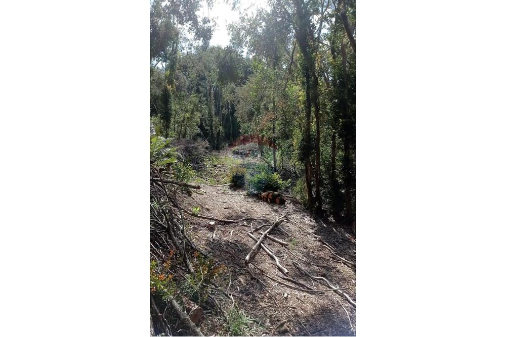 Woningbouw - Grond voor toek. bouw ontwikkeleing - Calbuco, Llanquihue, Los Lagos - CL - WhatsApp Image 2025-06-09 at 11.57.14 AM (2).jpeg - 1028109099-64