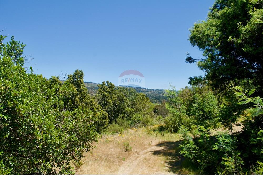 Residential - Plot of Land for Hospitality Development - Valparaíso, Valparaíso, Valparaíso - CL - 21. Parcelas Turbinas - DSC_0182.jpeg - 1028076010-499