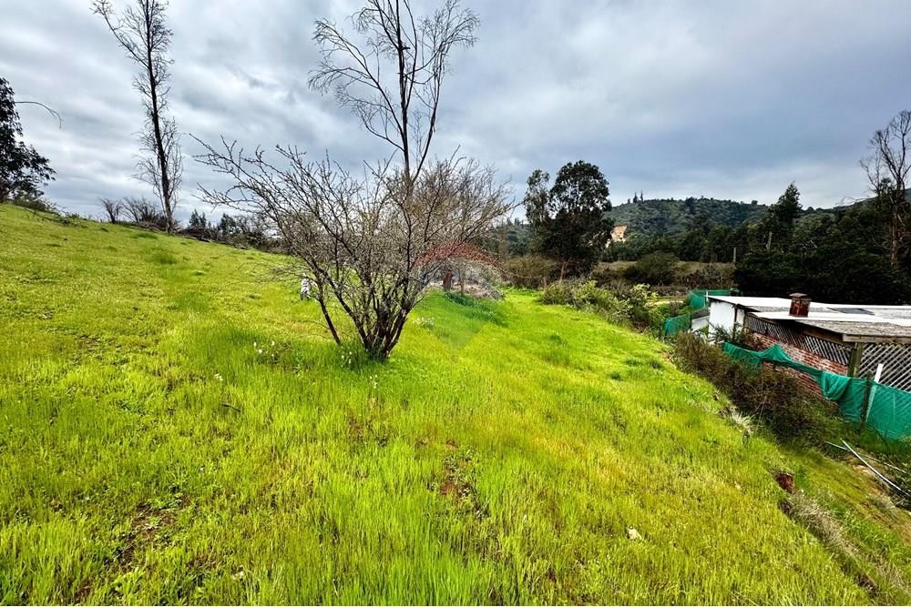 Rezidenčná - Pozemok - Casablanca, Valparaíso, Valparaíso - CL - IMG_8007.jpg - 1028037167-1425