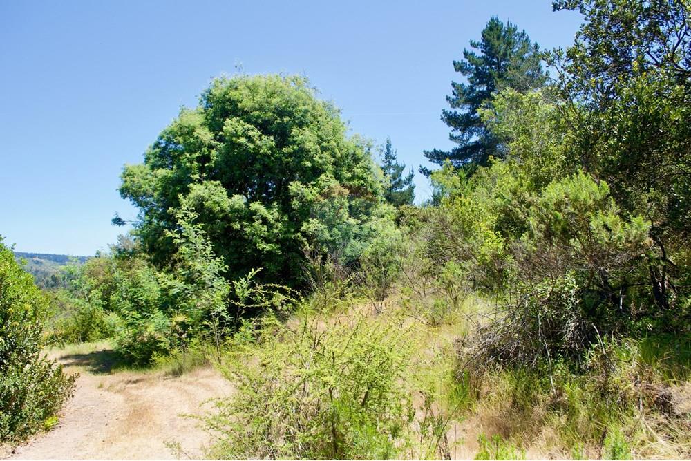 Residential - Plot of Land for Hospitality Development - Valparaíso, Valparaíso, Valparaíso - CL - 41. Parcelas Turbinas - DSC_0176.jpeg - 1028076010-499