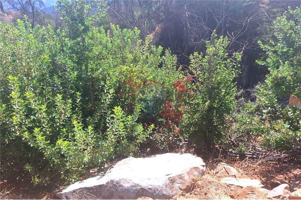 Parcela de agrado Venta Hijuelas, Quillota, Valparaíso 1028050026194