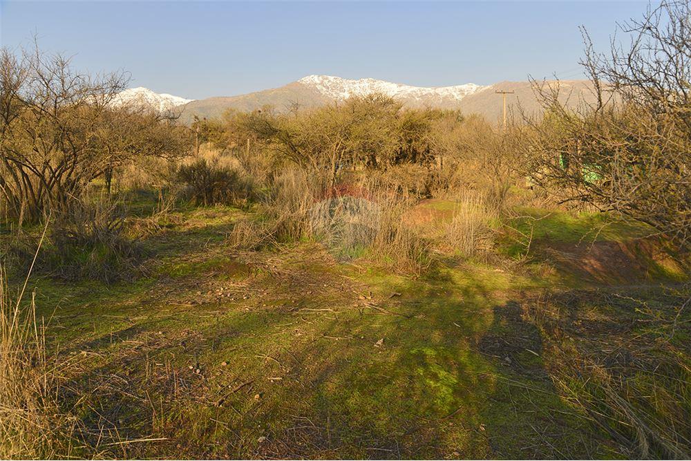 Residential - Угловой дом - La Florida, Santiago, Metropolitana De Santiago - CL - 8 - 1028057042-748