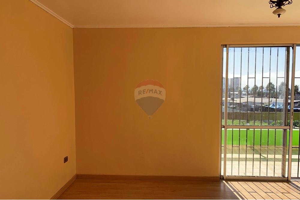 Elamine - Eramu - Coquimbo, Elqui, Coquimbo - CL - IMG_0277.jpg - Peamagamistuba - 1028018333-414