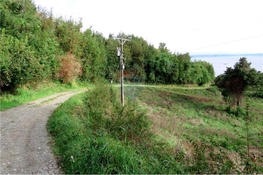 Residential - ที่ดินสำหรับอยู่อาศัย - Puerto Varas, Llanquihue, Los Lagos - CL - 12 - 1028076051-391