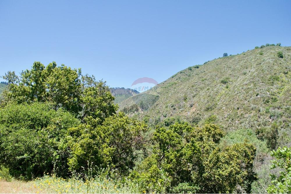 Residential - Plot of Land for Hospitality Development - Valparaíso, Valparaíso, Valparaíso - CL - 39. Parcelas Turbinas - DSC_0174.jpeg - 1028076010-499