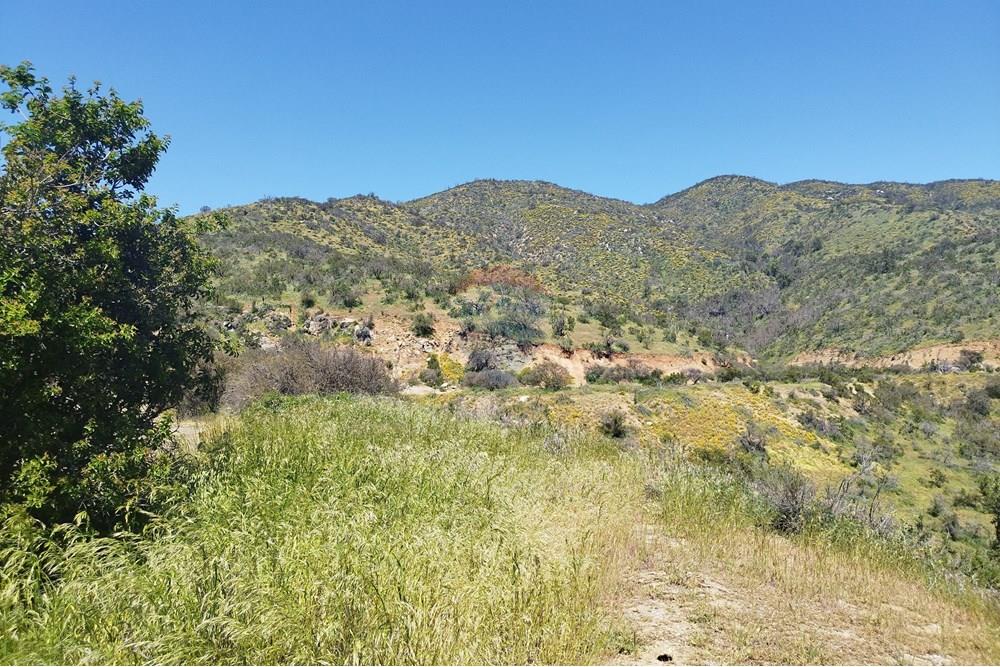 Residential - Land - Curacaví, Melipilla, Metropolitana De Santiago - CL - 10.jpg - 1028091010-163