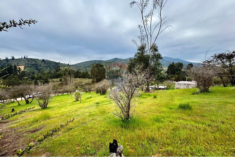 Rezidenčná - Pozemok - Casablanca, Valparaíso, Valparaíso - CL - IMG_8004.jpg - 1028037167-1425