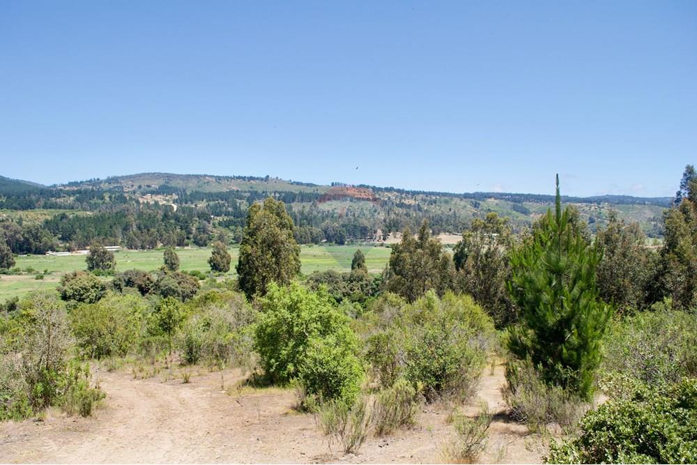 Residential - Plot of Land for Hospitality Development - Valparaíso, Valparaíso, Valparaíso - CL - 11. Parcelas Turbinas - DSC_0185.jpeg - 1028076010-499