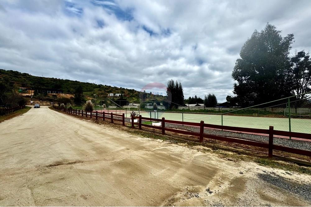 Rezidenčná - Pozemok - Casablanca, Valparaíso, Valparaíso - CL - IMG_8023.jpg - 1028037167-1425