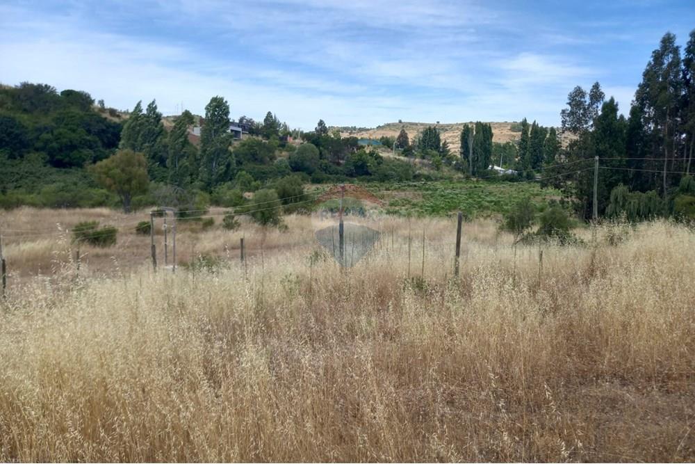 Residential - Ledig land - Litueche, Cardenal Caro, Libertador Gral. Bernardo O'Higgins - CL - Imagen de WhatsApp 2025-01-02 a las 15.22.15_9c75f013.jpg - 1028103011-35