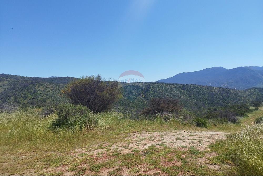 Residential - Land - Curacaví, Melipilla, Metropolitana De Santiago - CL - 1.jpg - 1028091010-163