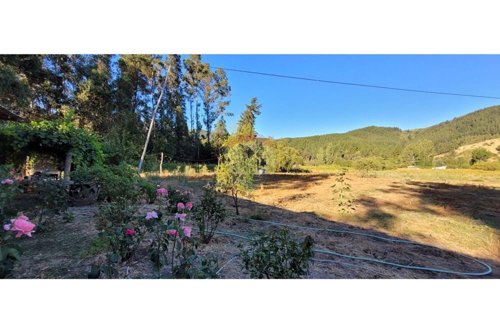 Residential - ਪਿੰਡ ਦਾ ਘਰ - Portezuelo, Itata, Ñuble - CL - 20250202_190326.jpg - 1028091021-98