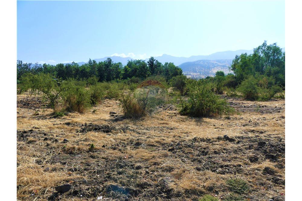 Konut - Arazi - Colina, Chacabuco, Metropolitana De Santiago - CL - 10 - 1028018148-405