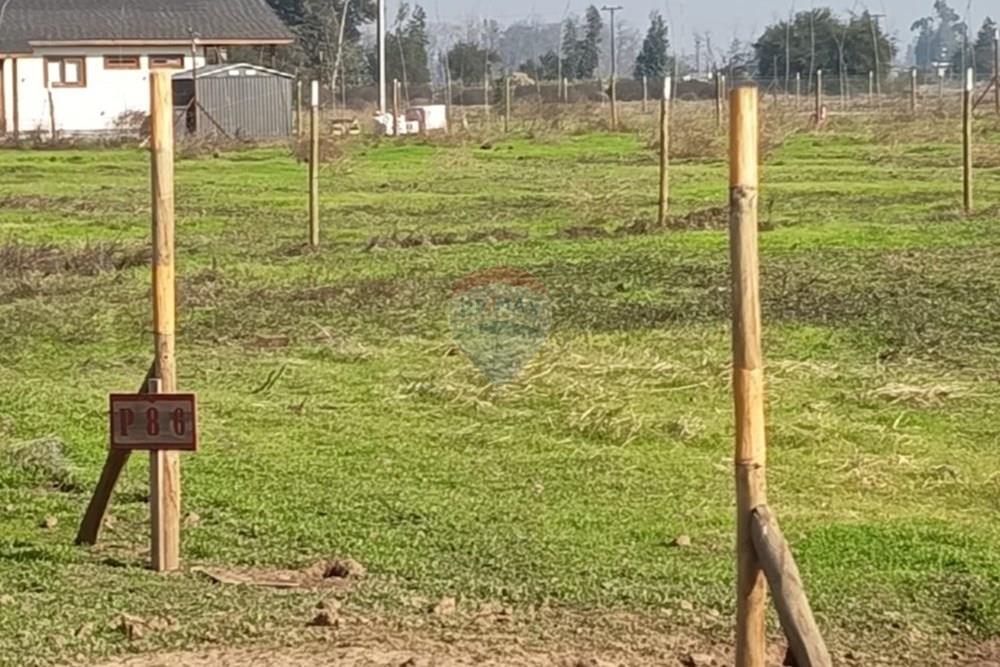 Residential - Herregård - Lampa, Chacabuco, Metropolitana De Santiago - CL - Imagen6.jpg - 1028096092-4