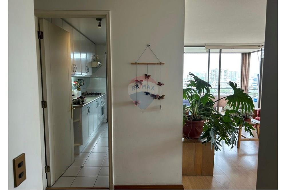 Departamento - Venta - Providencia, Santiago, Metropolitana De Santiago - cocina y living.jpg - 1028064065-14