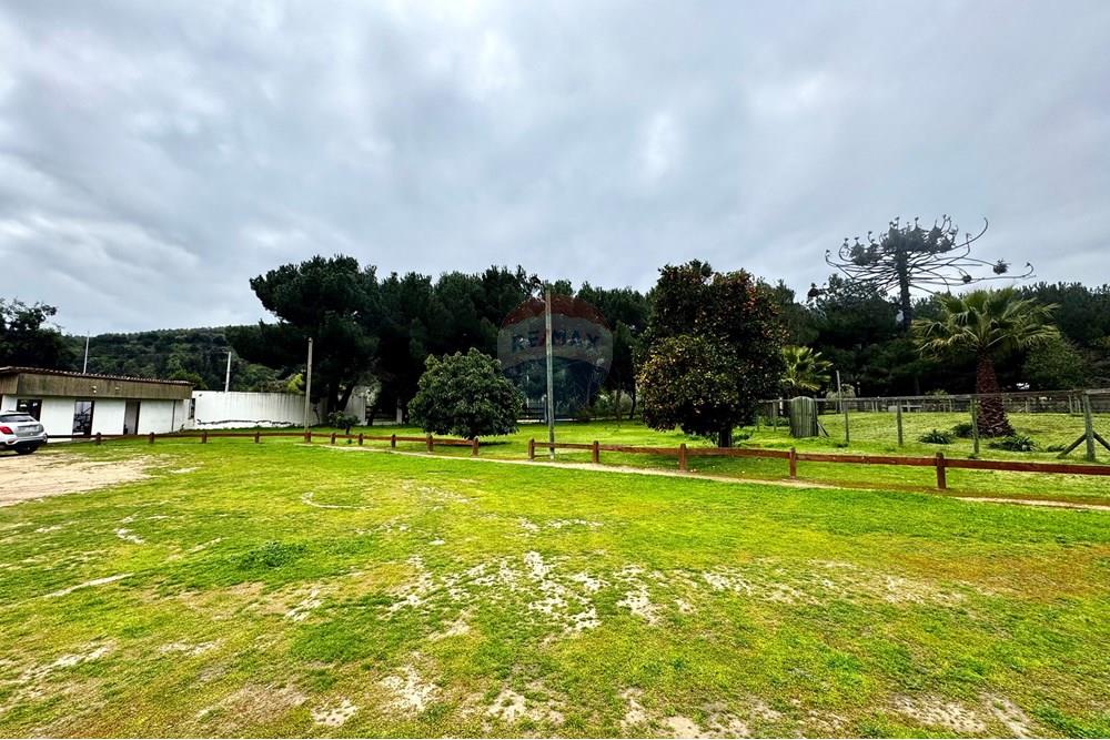 Rezidenčná - Pozemok - Casablanca, Valparaíso, Valparaíso - CL - IMG_8019.jpg - 1028037167-1425