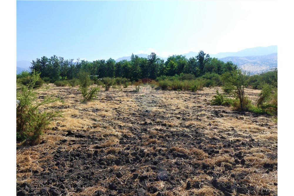 Konut - Arazi - Colina, Chacabuco, Metropolitana De Santiago - CL - 12 - 1028018148-405