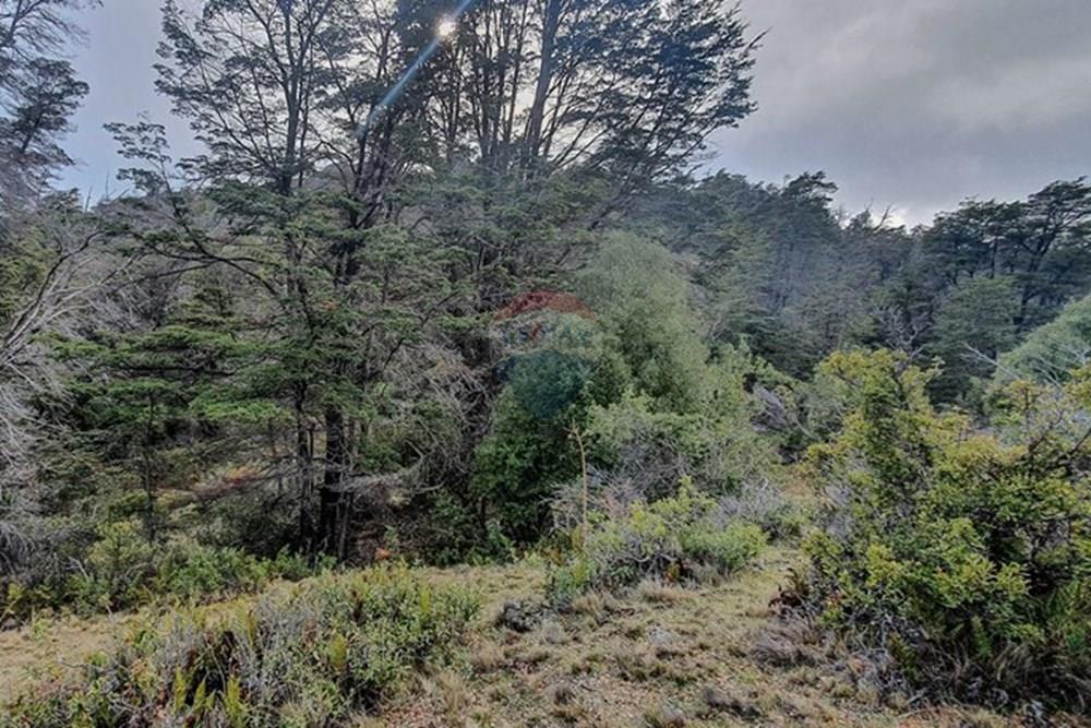 Gyvenamasis - Žemės sklypas - Chile Chico, General Carrera, Aisén - CL - 20210806_115347.jpg - 1028085049-21