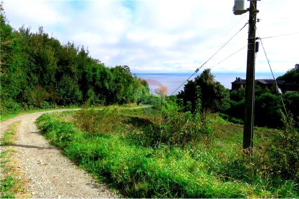 Residential - ที่ดินสำหรับอยู่อาศัย - Puerto Varas, Llanquihue, Los Lagos - CL - 11 - 1028076051-391