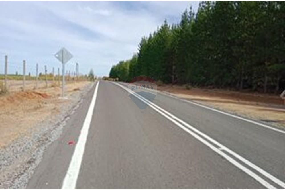 Residential - عقار ريفي - San Javier, Linares, Maule - CL - 1000024344.jpg - 1028098015-608