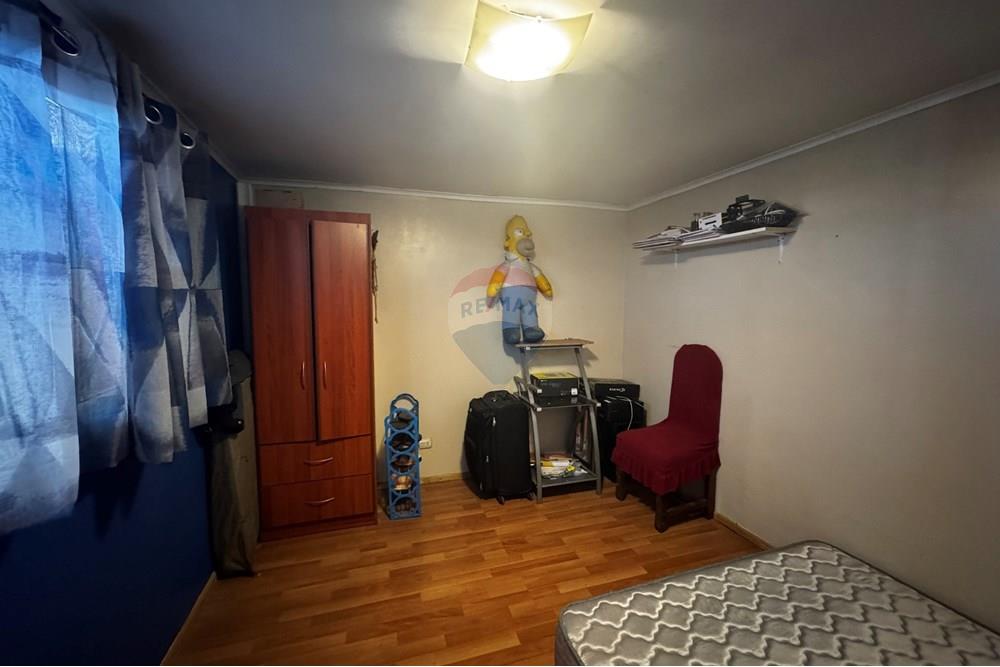 Elamine - Eramu - Santiago, Santiago, Metropolitana De Santiago - CL - IMG_4600.jpg - 1028037167-1395