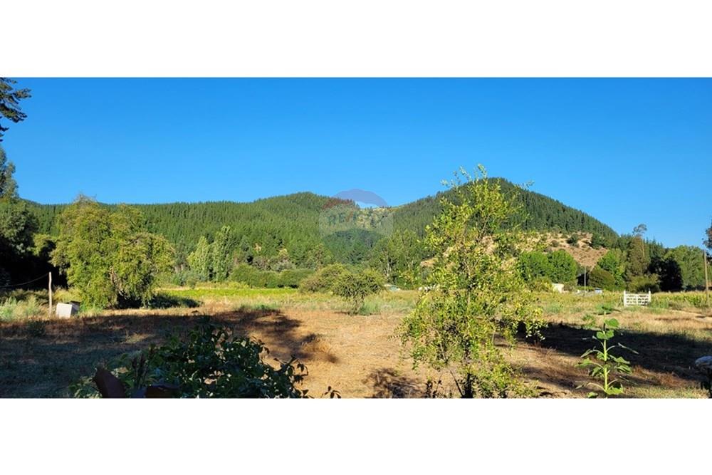 Residential - ਪਿੰਡ ਦਾ ਘਰ - Portezuelo, Itata, Ñuble - CL - 20250202_190447.jpg - 1028091021-98