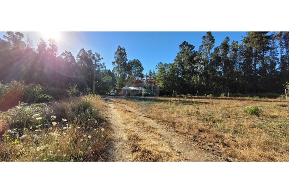 Residential - ਪਿੰਡ ਦਾ ਘਰ - Portezuelo, Itata, Ñuble - CL - 20250202_185344.jpg - 1028091021-98