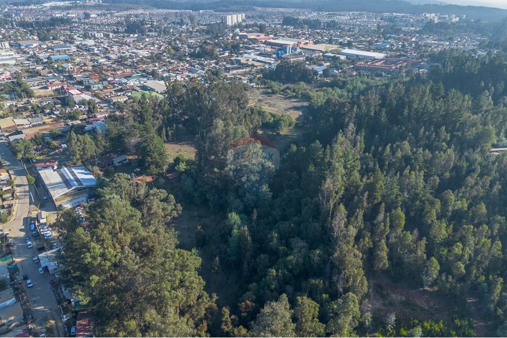 Komersyal - Lupa - Valparaíso, Valparaíso, Valparaíso - CL - 14.jpg - 1028102046-40