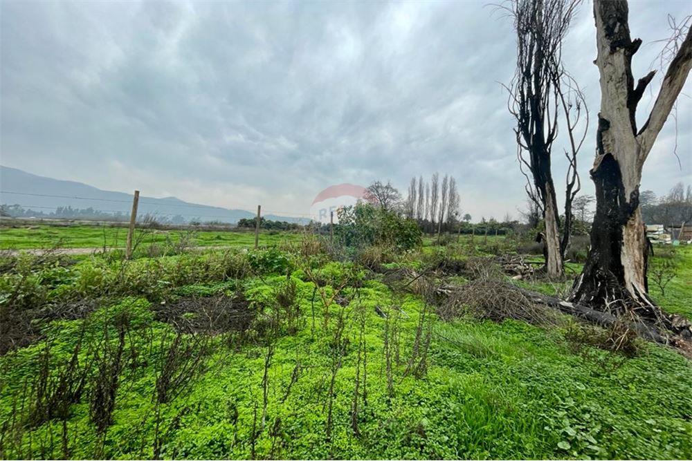 Residential - คฤหาสน์ชนบท - Talagante, Talagante, Metropolitana De Santiago - CL - 15 - 1028091010-162