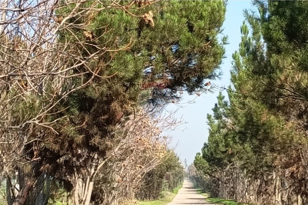 Residential - Herregård - Lampa, Chacabuco, Metropolitana De Santiago - CL - Imagen1.jpg - 1028096092-4