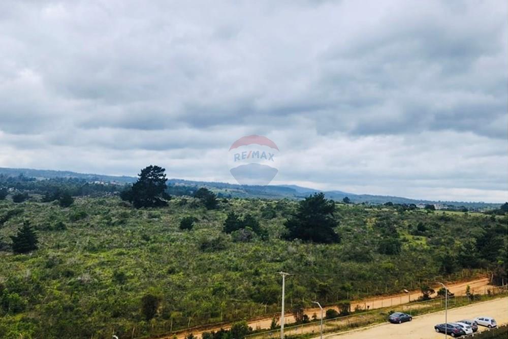 Residential - อพาร์ทเมนต์วันหยุด - Algarrobo, แซนแอนโทนีโอ, Valparaíso - CL - 10.jpg - 1028076056-89