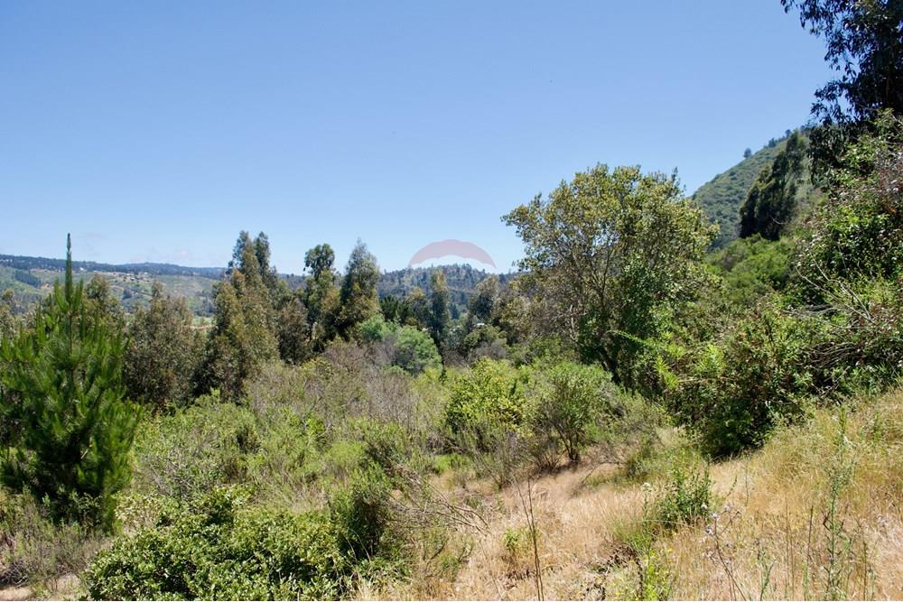 Residential - Plot of Land for Hospitality Development - Valparaíso, Valparaíso, Valparaíso - CL - 45. Parcelas Turbinas - DSC_0184.jpeg - 1028076010-499