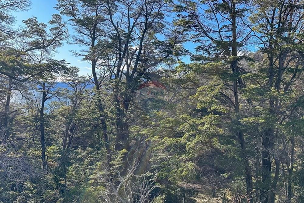 Gyvenamasis - Žemės sklypas - Chile Chico, General Carrera, Aisén - CL - IMG_2765.jpg - 1028085049-21