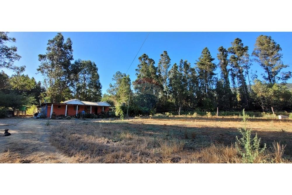 Residential - ਪਿੰਡ ਦਾ ਘਰ - Portezuelo, Itata, Ñuble - CL - 20250202_190027.jpg - 1028091021-98